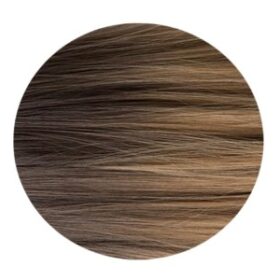 Ombre Biscuit